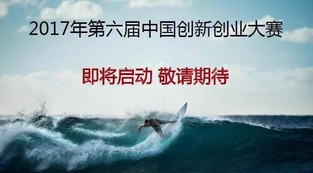 不畏风霜向晚秋打一最佳动物，详细解答解释落实_yov15.08.35