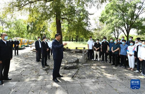 锲而不捨，不甘人後 瑰寶就在樹梢頭打一精准生肖