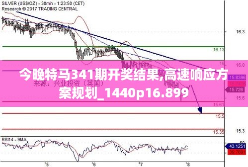 今期是什么特马图，定量解答解释落实_lm24.73.97