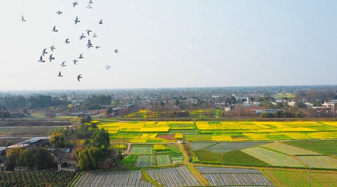 春风十里扬州路，天马驰聘五里街猜一动物，构建解答解释落实_ni93.19.95