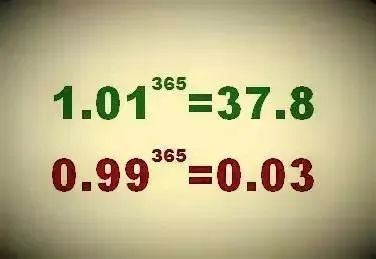 命裹有时终须有打一数字，深度解答解释落实_qwh07.73.33