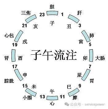 初始大地子午过   荒郊野外而纷纷  打一生肖，定量解答解释落实_clx54.38.90