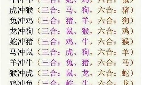 三字开头是啥生肖，精准解答解释落实_9302.02.12