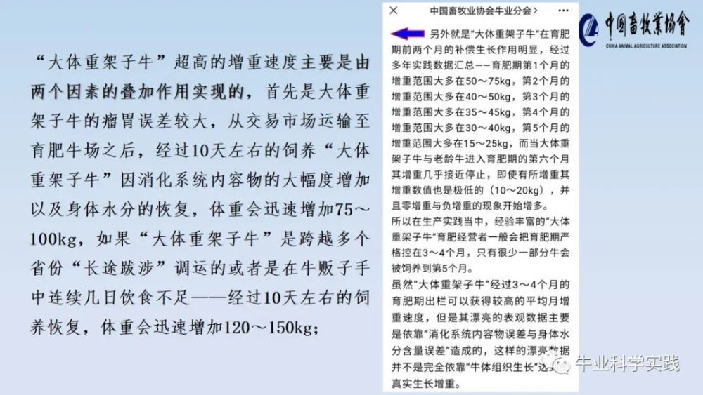 欲钱看拉牛入鼠洞 打一精准生肖，统计解答解释落实_c471.63.38