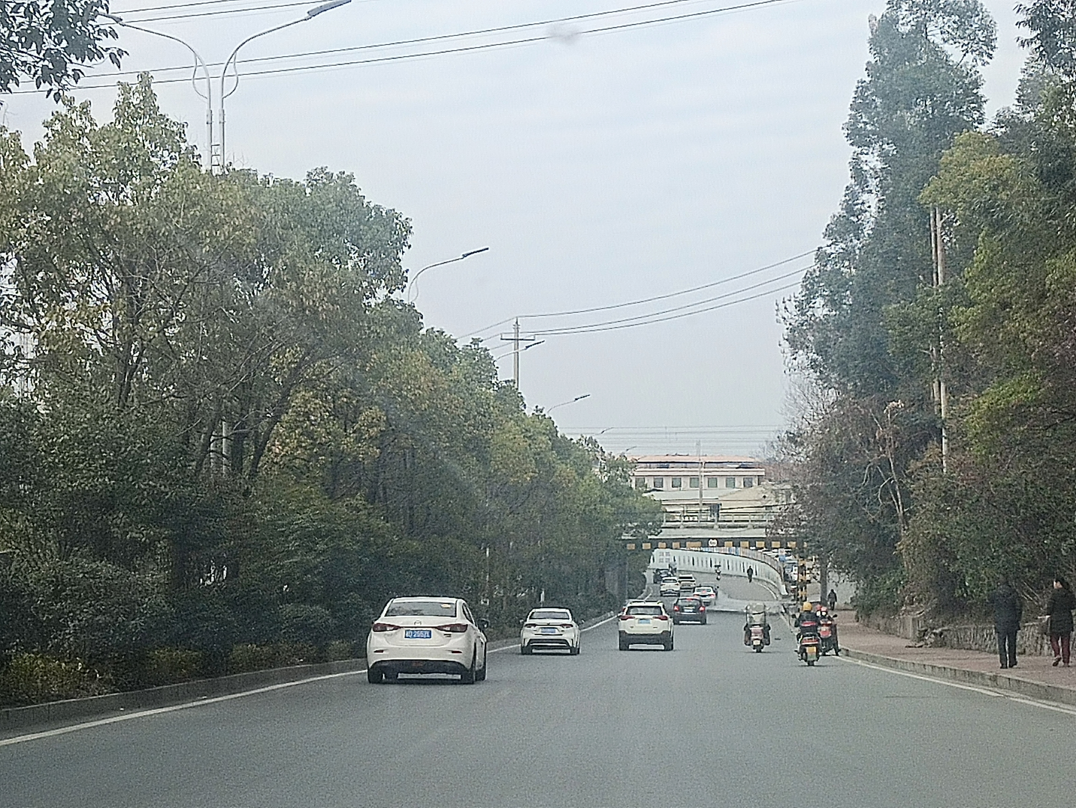 大路笔直两边树，能工巧匠开神斧，车来车往繁华景，社会发展大进步猜一谜语生肖动物，实证解答解释落实_hi80.24.05