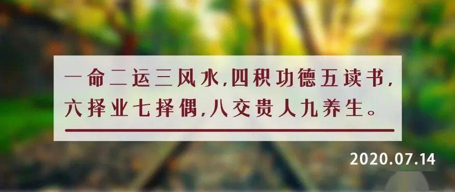 三六为首九作伴二一合拼八同开什么生肖，全面解答解释落实_8k488.93.32