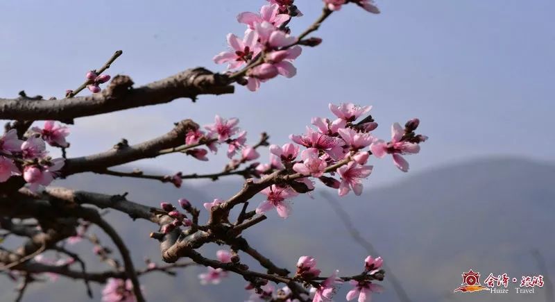 艳阳高照暖大地，阳春三月红花开打一精准生肖动物，实时解答解释落实_wej02.04.72