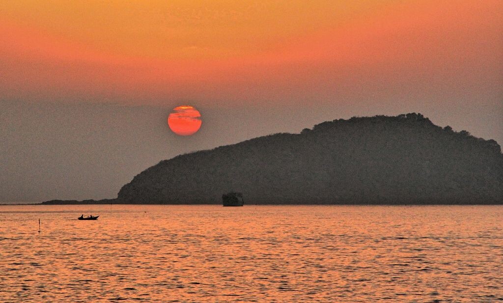 日出东方红太阳 海枯石烂有几时指的什么动物，定量解答解释落实_6hu51.59.68