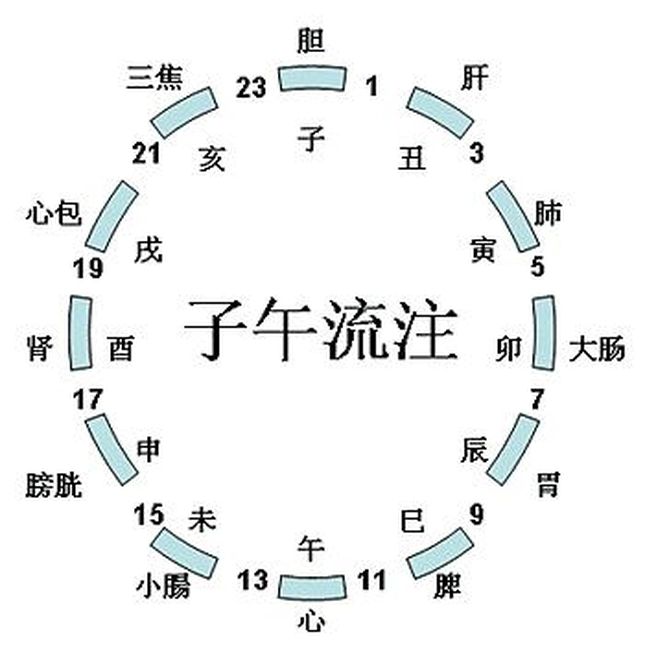 表里不一双偷牛，一路顺水又回转，欺世盗名分水岭，子午前列一一数打一精准生肖动物，实证解答解释落实_zev29.22.76