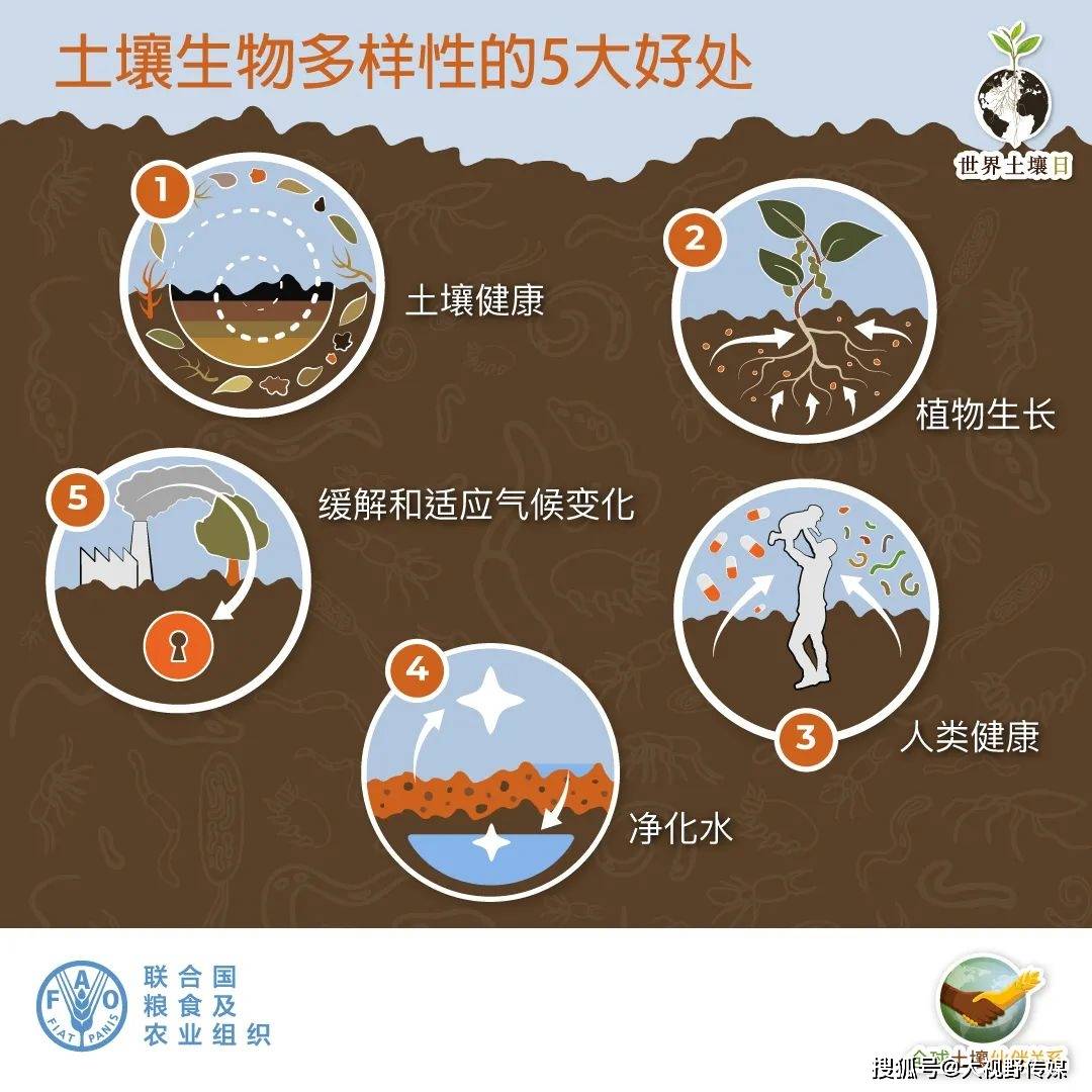 山崩地裂有预兆,横冲直撞出生肖打一精准生肖动物，科学解答解释落实_wqd34.48.15