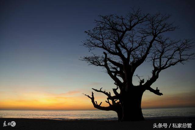 方向不一,殊途同归,最终必然是归西是指什么生肖，专家解答解释落实_fr050.67.22