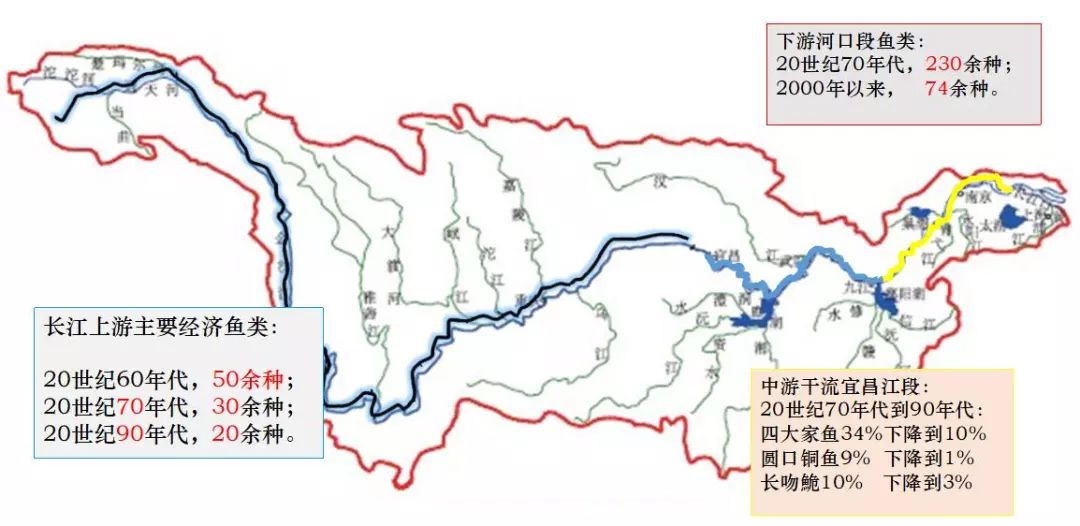 由西往东两大河，母亲黄河大长江打一精准生肖动物，精准解答解释落实_wxf11.85.21