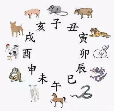 虎猴狗鼠特上特是什么生肖，实时解答解释落实_39259.27.30