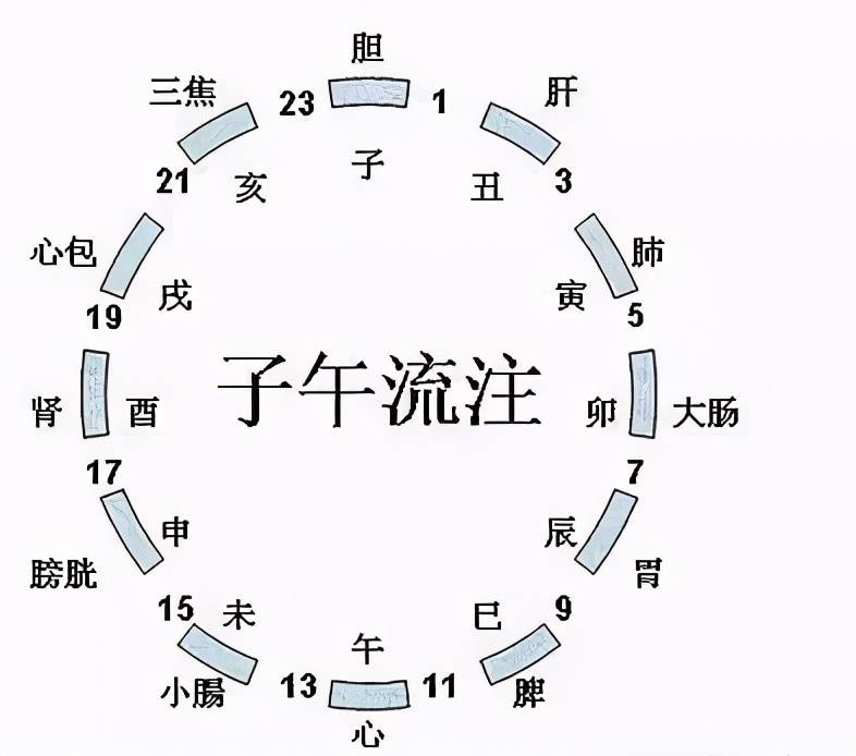 子午相冲见零码，三心两意不成气 是什么生肖，定量解答解释落实_3z42.05.12