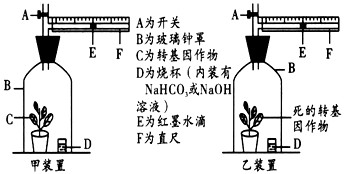 孤注一掷打一动物，全面解答解释落实_2t89.20.05