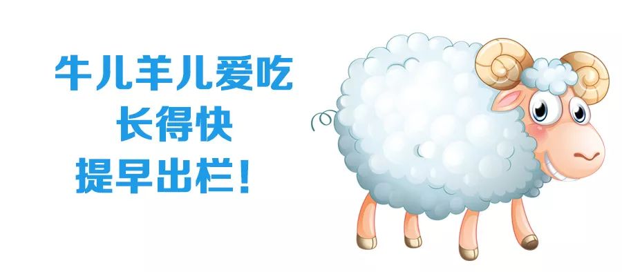 约法三章三回报机不可失看牛羊是指什么动物，详细解答解释落实_ad65.09.32