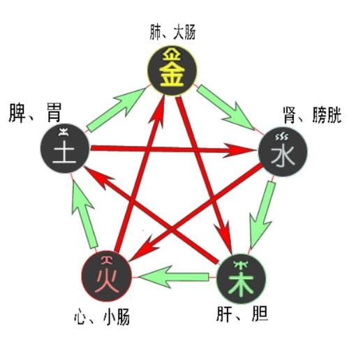 今期生肖水火金，特数中野兽 打一生肖，实时解答解释落实_xaz55.79.87