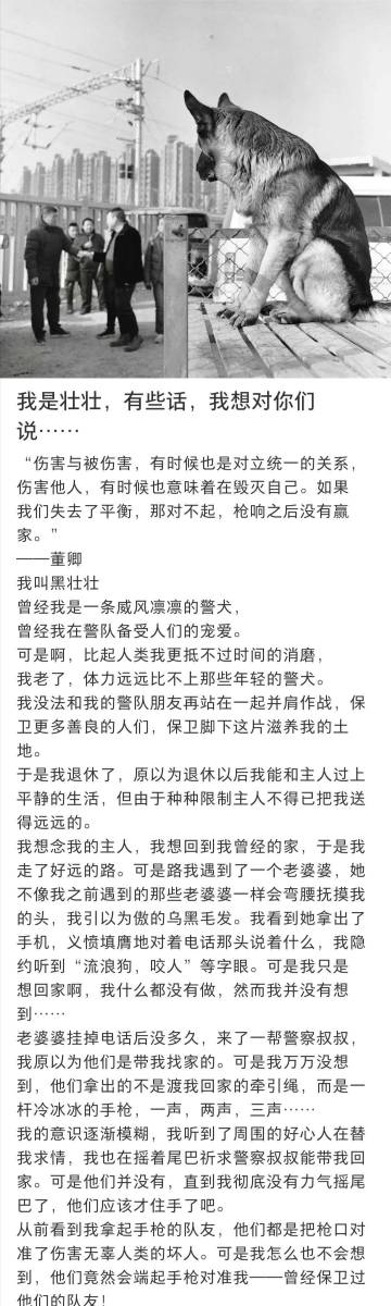 杀庄一句：由西往东两大河。打一精准生肖动物，精准解答解释落实_i255.11.29