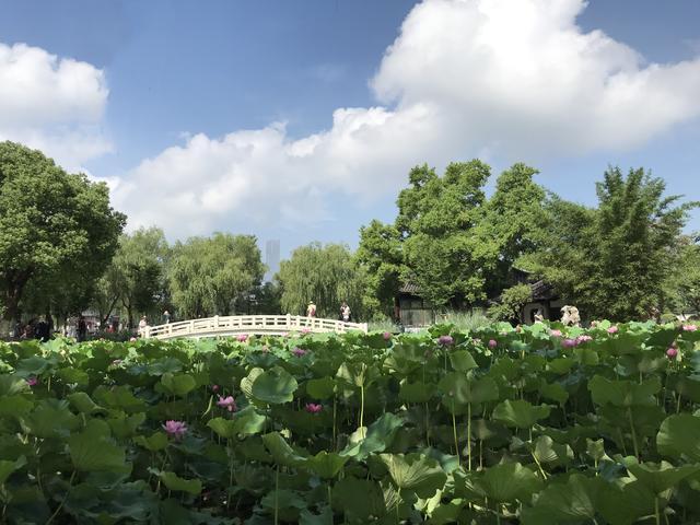 梅雨时节三月春，枝上红花四处飞。打一精准生肖动物，定量解答解释落实_sfo07.41.11