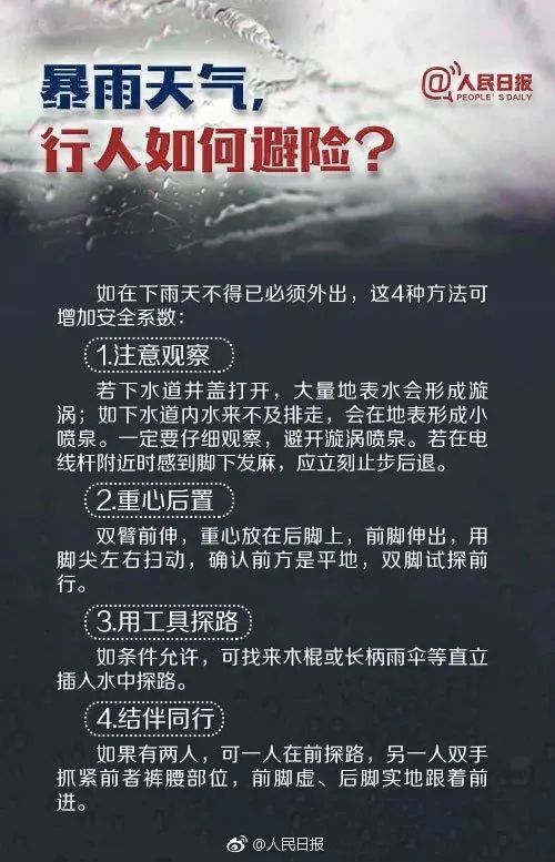 雨过天晴出太阳，灾后自救复家园。打一精准生肖动物，时代解答解释落实_7g00.28.26