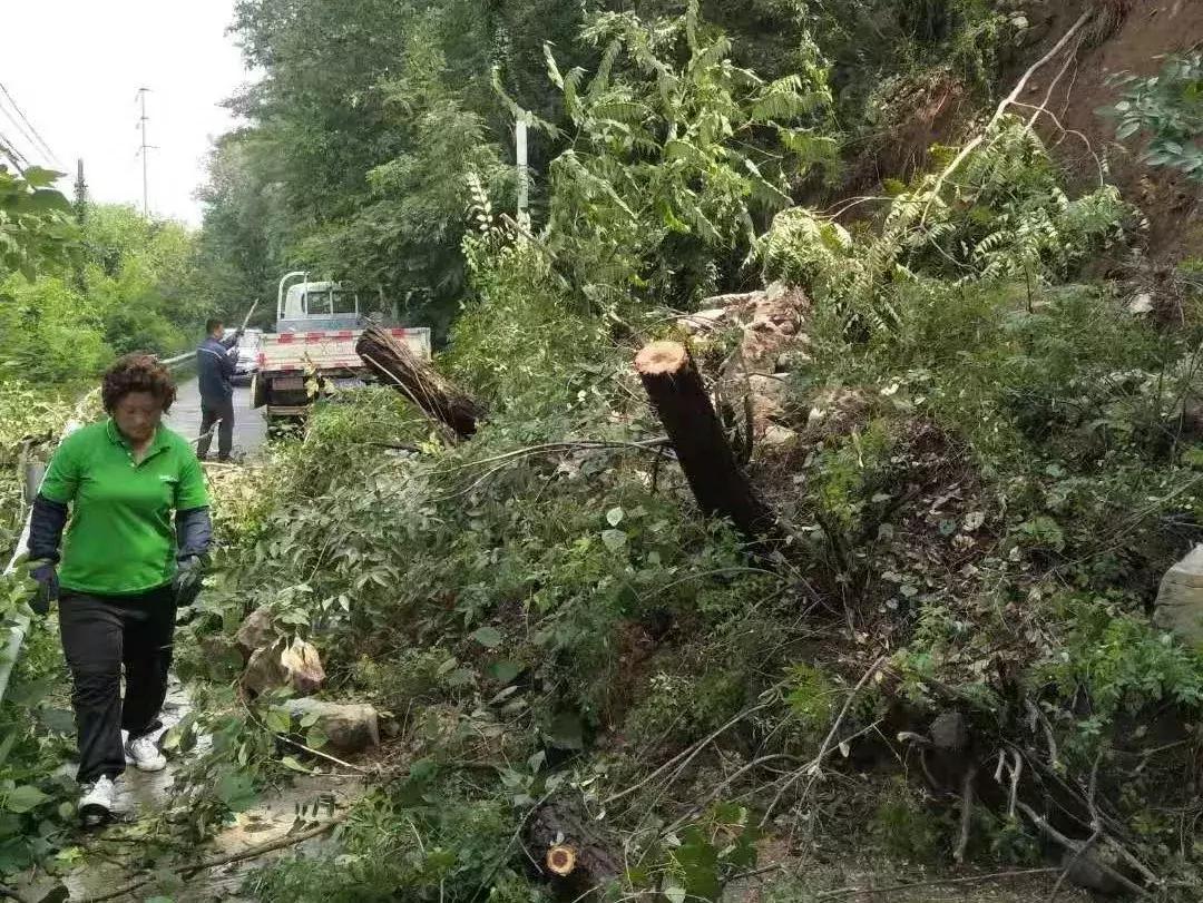 雨过天晴出太阳，灾后自救复家园。打一精准生肖动物，详细解答解释落实_j300.44.81