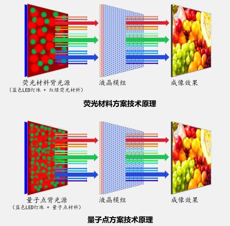 红绿色彩伴舞台，单人举行演唱会。打一精准生肖动物，统计解答解释落实_4c04.31.26