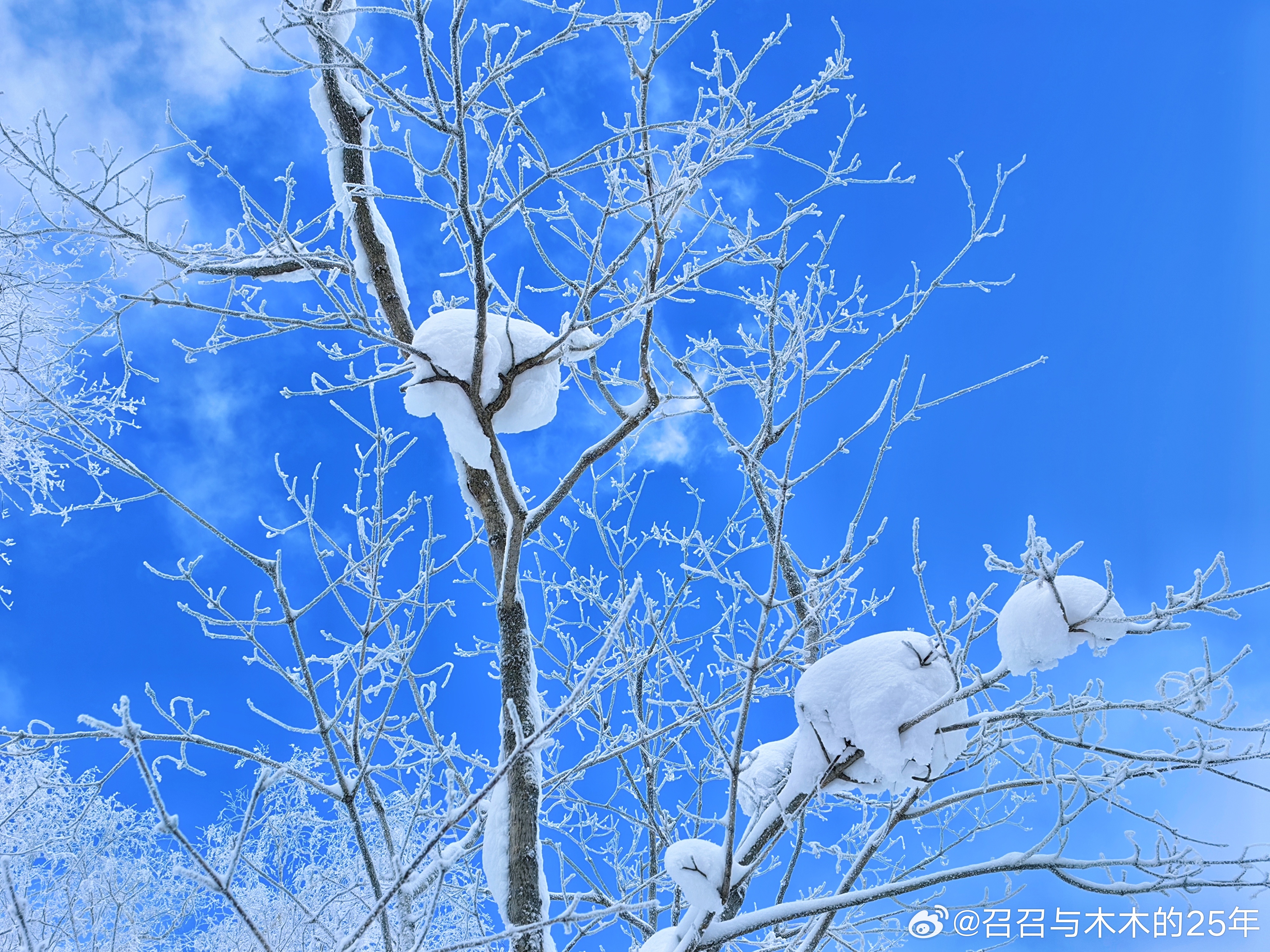 寒冬白雪满天飞 喜兆丰年家富裕打一生肖，定量解答解释落实_2940.05.73