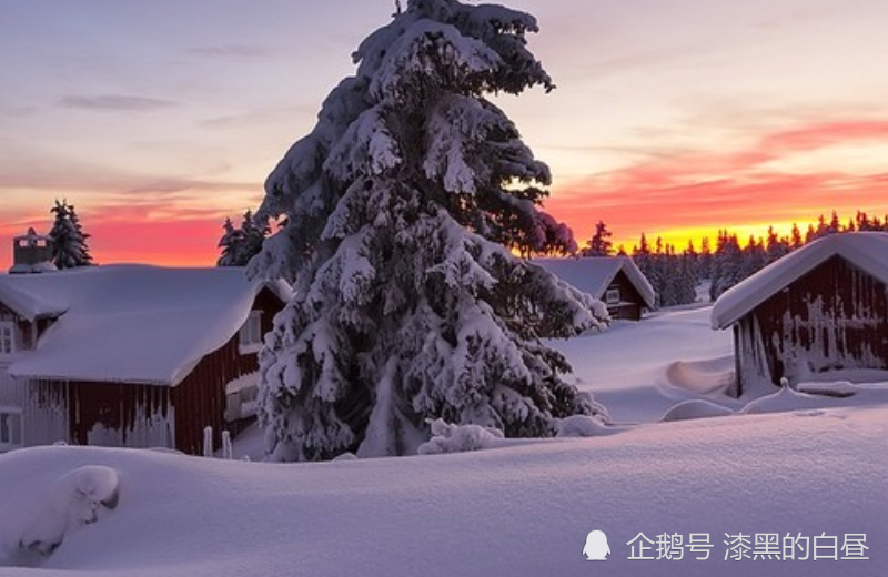 寒冬白雪满天飞 喜兆丰年家富裕打一生肖，构建解答解释落实_7f16.47.83