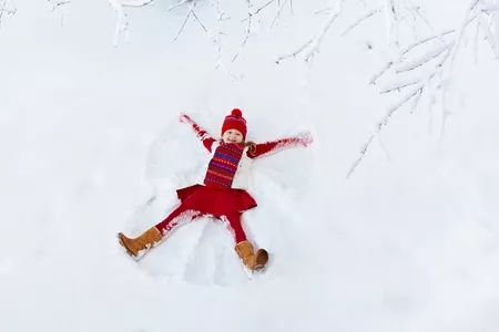 寒冬白雪满天飞 喜兆丰年家富裕打一生肖，前沿解答解释落实_bu93.10.72