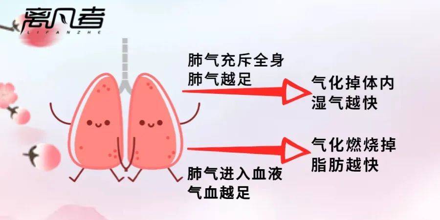 若然有脂，必有瓣法。置光一閃即明白打一肖，实证解答解释落实_ws48.03.58