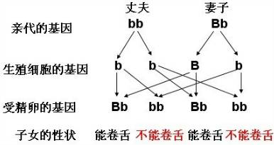 油嘴滑舌嘴真甜打一肖，构建解答解释落实_nh863.63.02