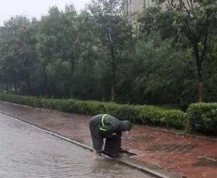 华夏大地同龙脉，绿水青山共月圆，雨过天晴出太阳，灾后自救复家园。打一精准生肖动物