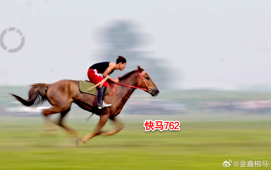 快马加鞭冲在前是什么生肖