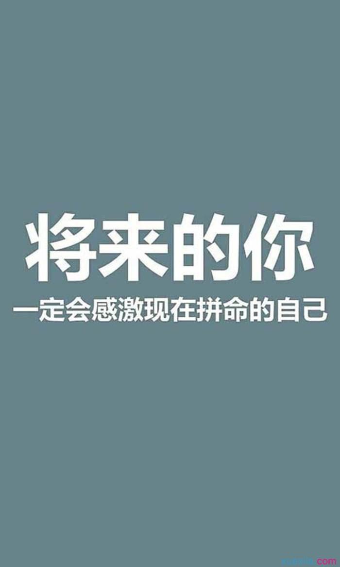 少年努力老老享,认真拼搏要勤恳打一肖，科学解答解释落实_mx031.94.22