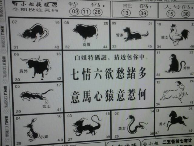 四五两码想合并猜一生肖，科学解答解释落实_nzd40.54.03