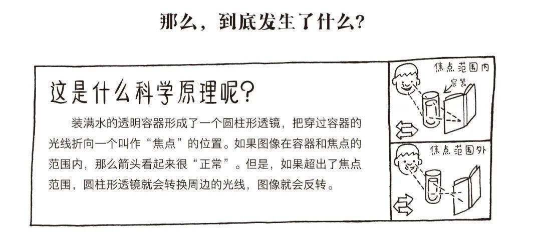 时过如飞不等人,爱惜时刻惜一分是什么生肖，定量解答解释落实_wh60.94.38