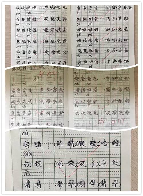 平安二字值千金指何生肖，全面解答解释落实_rl20.84.10