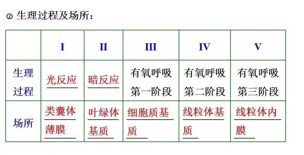 二五合三并一八是什么生肖，详细解答解释落实_ls99.94.42