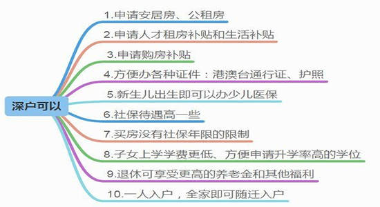 悔作从来任伙非，二三归中看，打一生肖，全面解答解释落实_r7r06.12.50