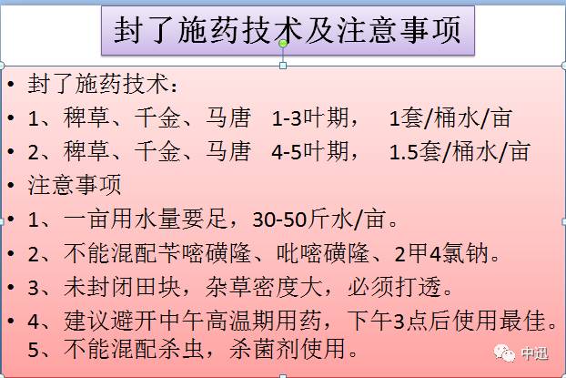 平安二字值千金指何生肖，深度解答解释落实_aa527.55.57